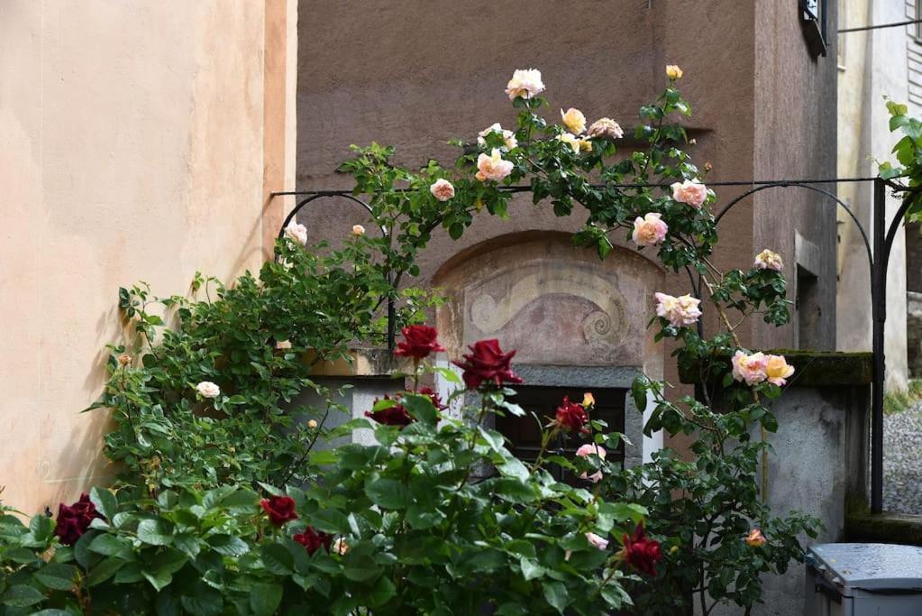 San Bernardo  Il Drago Al Roseto Del Dragoヴィラ エクステリア 写真